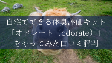 自宅でできる体臭評価キット「オドレート（odorate）」をやってみた口コミ評判